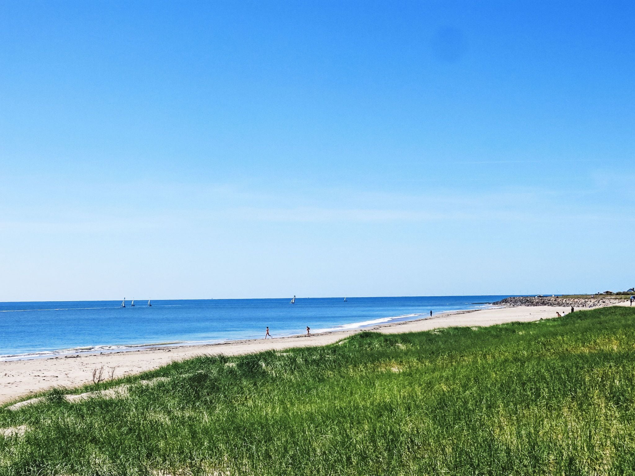 A beach with a clear sky, sandy shore, and grassy dunes.
