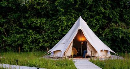Luxury Glamping Retreat in Battle