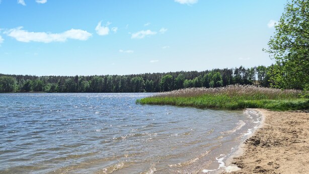 Uma praia de areia com águas cristalinas e uma floresta ao fundo.