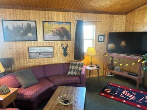 Fernseher