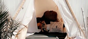 Private Resort Like Oasis in Point Pleasant 