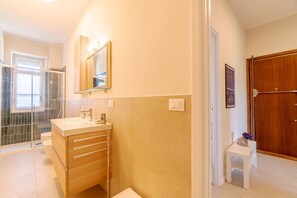 Shower, hair dryer, bidet, towels