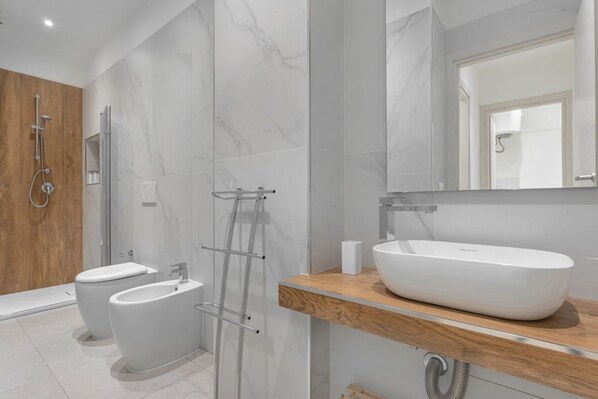 Shower, hair dryer, bidet, towels