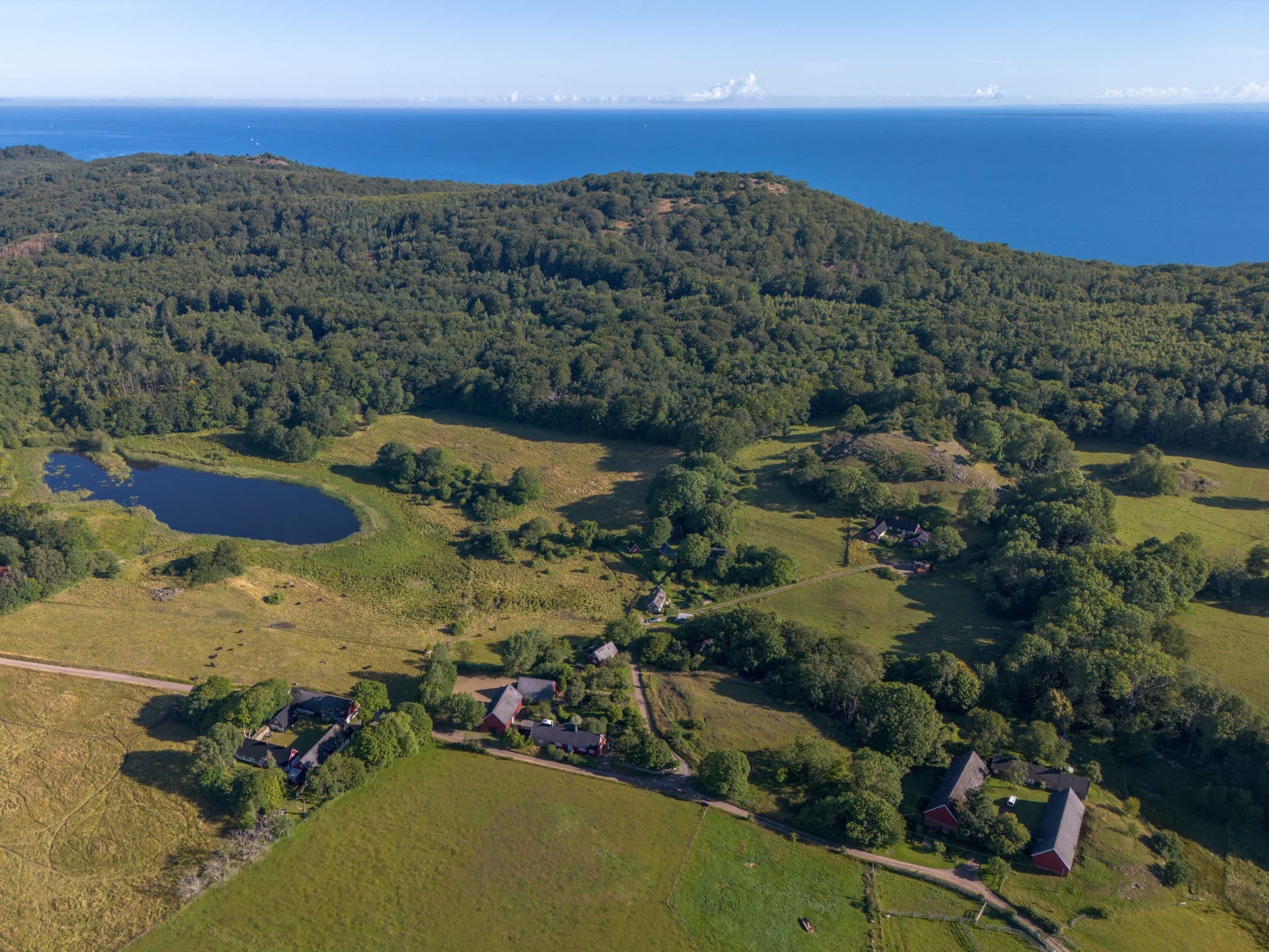 An aerial view of a rural area with a lake, scattered houses, and dense forest.