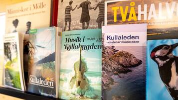 Una hilera de libros con títulos relacionados con la cultura y la música sueca, expuestos en una estantería.