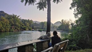 Un banco de madera con vista a un río, donde se sienta una persona y un perro.