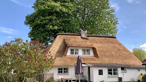Une maison blanche avec un toit de chaume, une clôture en bois et un grand arbre en arrière-plan.