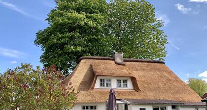 Holiday Home 'Tade Bo' with Private Terrace, Private Garden and Wi-Fi