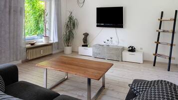 Fernseher