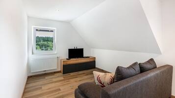 Fernseher, DVD-Player