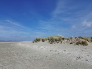 Beach nearby - Atmospheric wooden Tiny House near the beach (Goedereede)