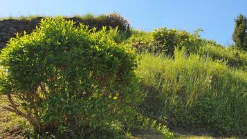 Àrea exterior de l'allotjament