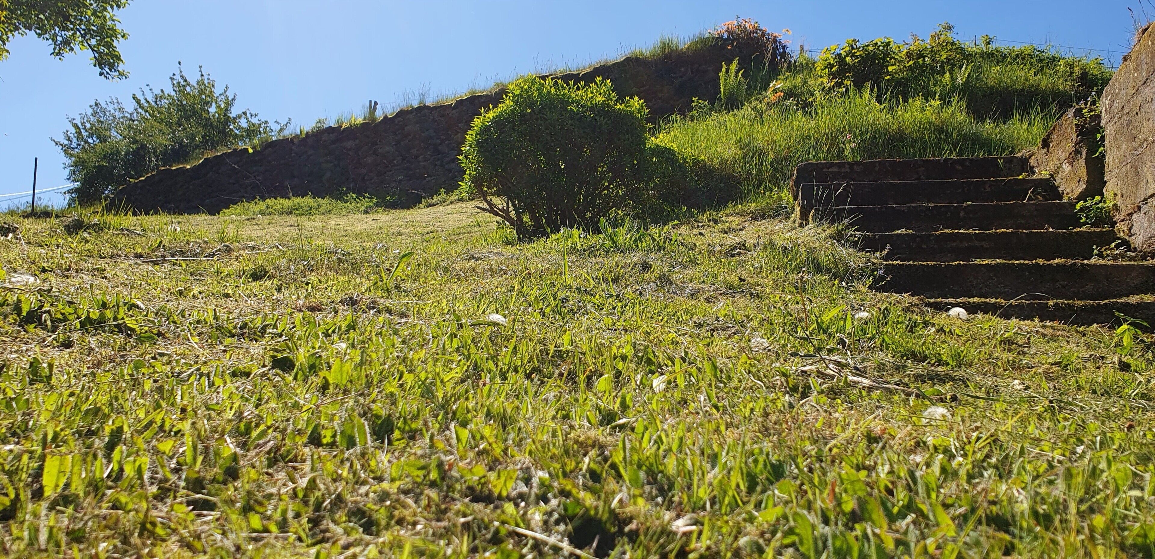Une zone herbeuse avec des marches menant au sommet d’une colline, le tout entouré de végétation.