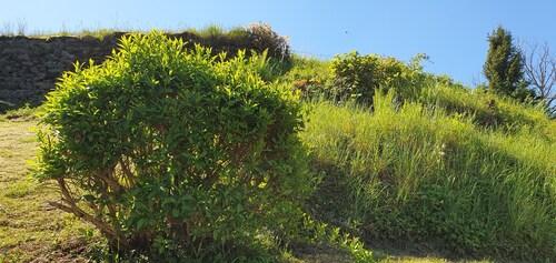 Ferienwohnung "Am Huthainberg" mit privater Terrasse und WLAN