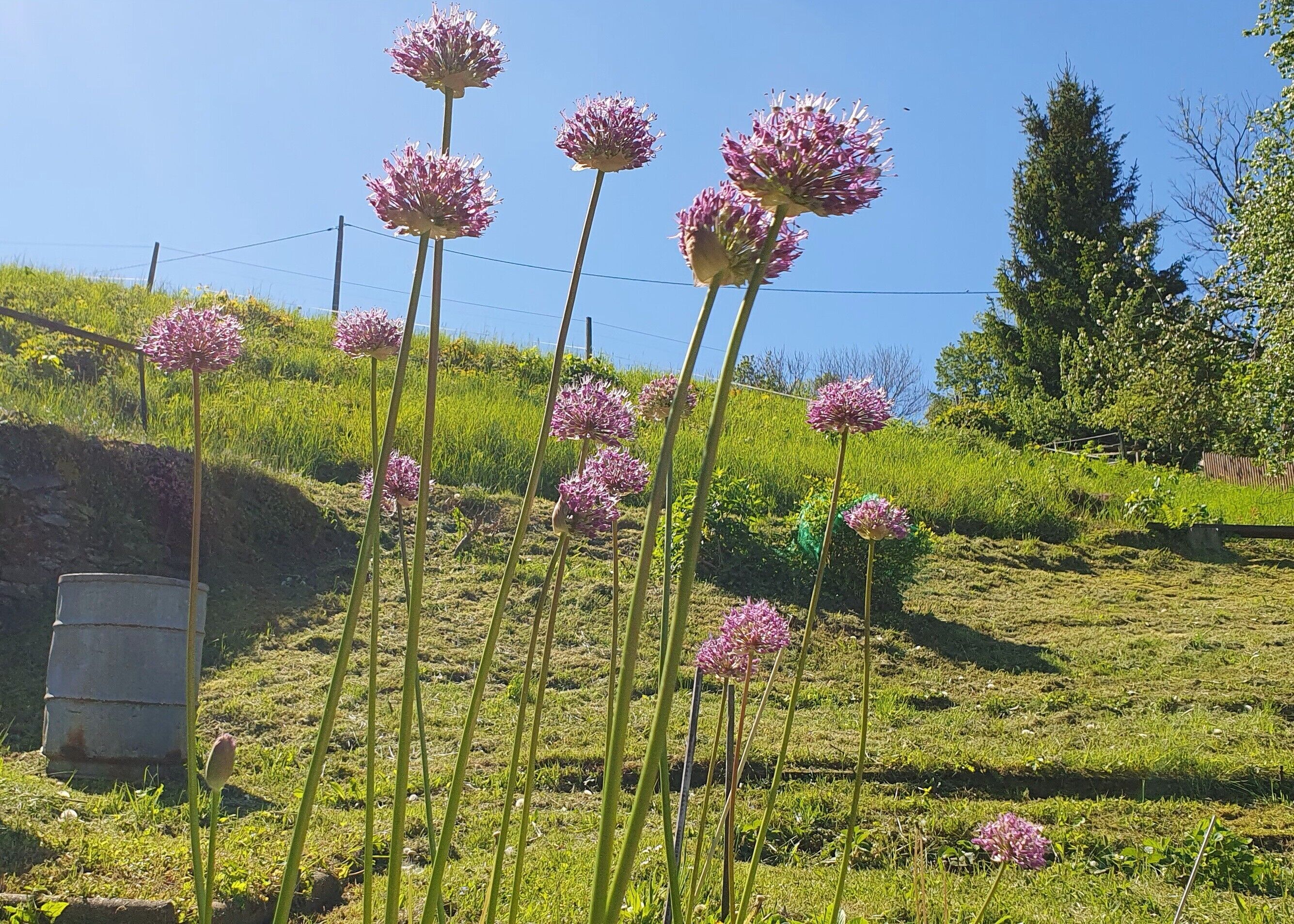 Áreas de la propiedad
