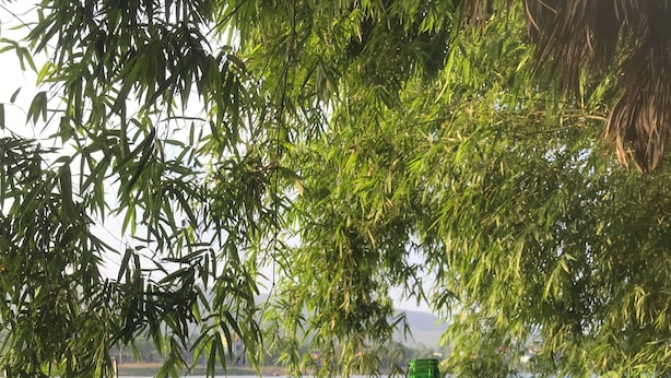 A bottle of Huo brand beer and a bowl of nuts on a ledge overlooking a body of water. - Happy field homesaty (Phong Nha)