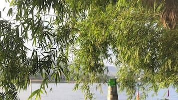 Ngoại thất