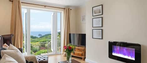 TV, fireplace, offices