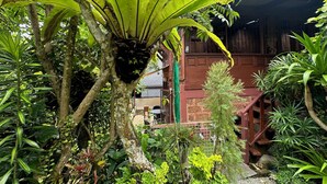 Un jardin luxuriant, avec une grande variété de plantes tropicales, une structure en bois et un mur de pierre.