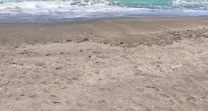 Ocean View Property, Steps to the Sand!
Hutchison Island 2BED/2BATH
Renovated