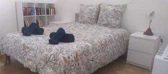 Spacieux F2 Entier, Neuf, Tres Lumineux ET Decore Avec Gout