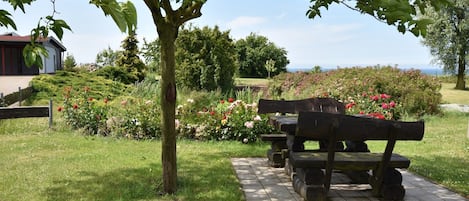 A garden with a tree, benches, and a pathway.