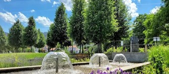 Familienspaß & Waldwege in Ilsenburg