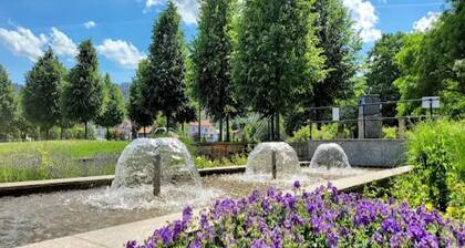 Familienspaß & Waldwege in Ilsenburg