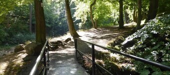 Diversión familiar y senderos forestales