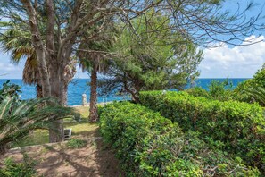 Family House, Multiple Bedrooms, Sea Facing (La Porta Sul Mare - on the sea) | Property grounds
