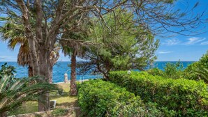 A coastal garden with a bench, dense greenery, and a view of the sea. - La Porta Sul Mare - Sea-view Home With Private Beach Access (Diso)