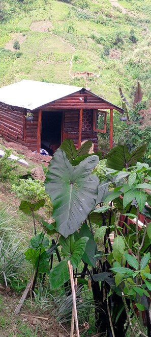 Comfort Cottage, Mountain View | 2 bedrooms, laptop workspace - Karangura trekkers eco camp  (Fort Portal)