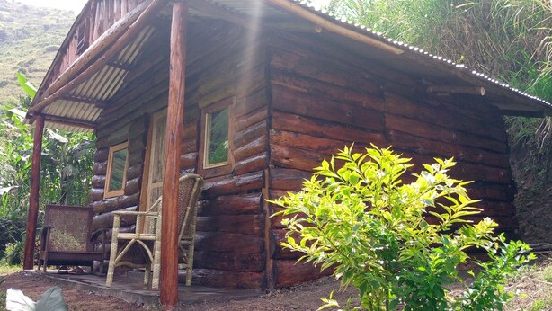 A rustic wooden cabin with a porch, surrounded by lush greenery and a mountainous backdrop.