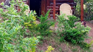 A rustic wooden cabin with a porch, surrounded by lush greenery and a hillside in the background.