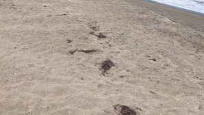 Une plage avec une eau d’un bleu limpide et un rivage sablonneux.