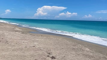 On the beach, sun-loungers, beach towels