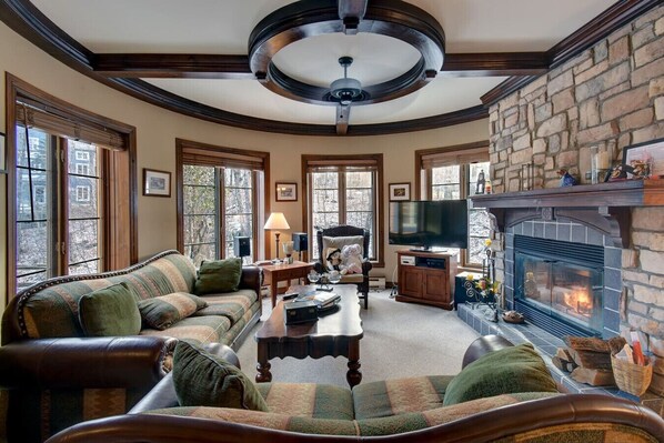 TV, fireplace