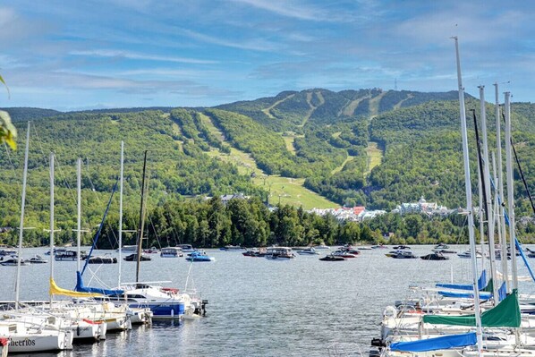 A marina with multiple sailboats docked, surrounded by lush green hills and a small town in the background.