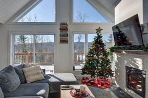 TV, fireplace, video games, stereo