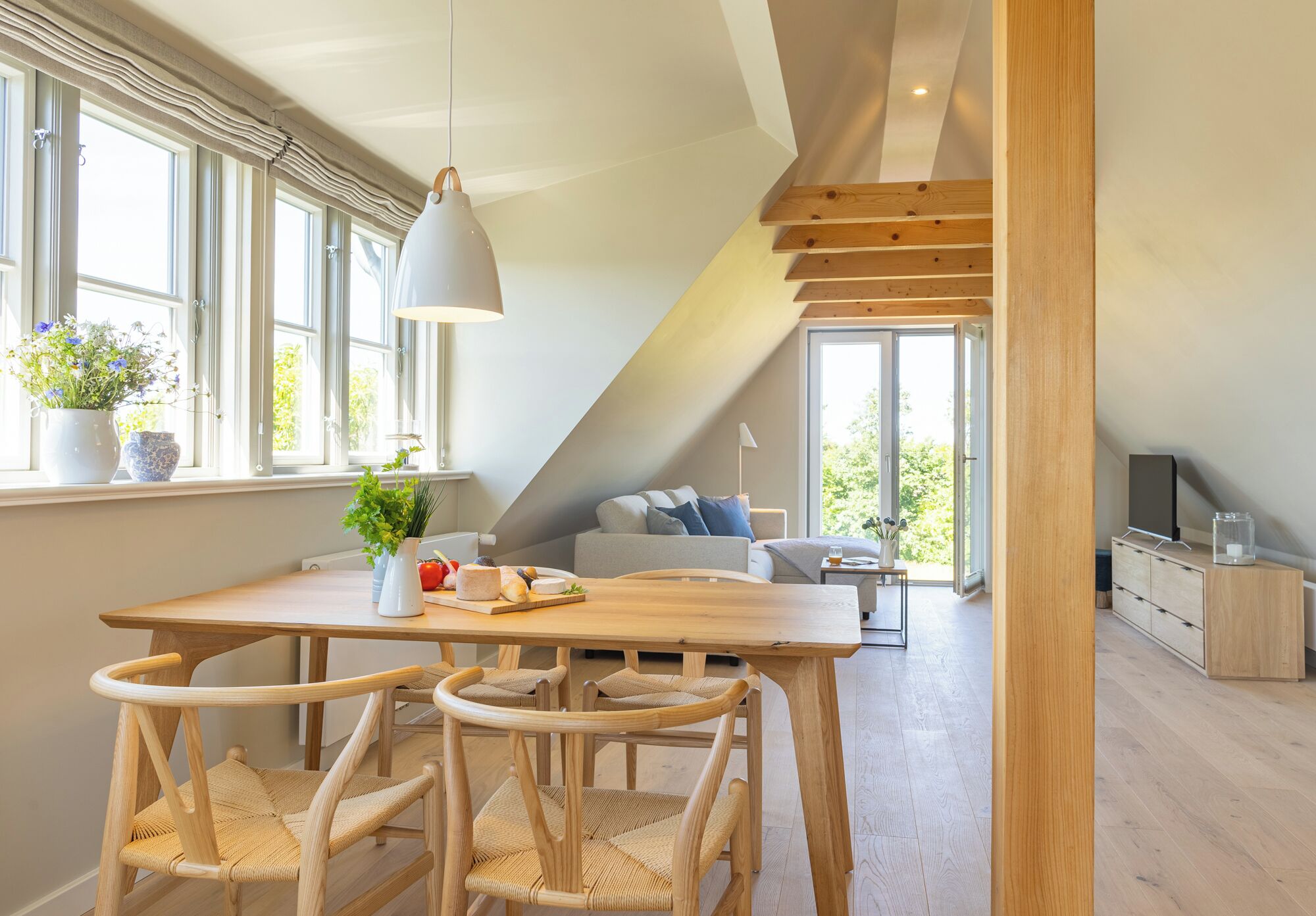 Televisión y libros 