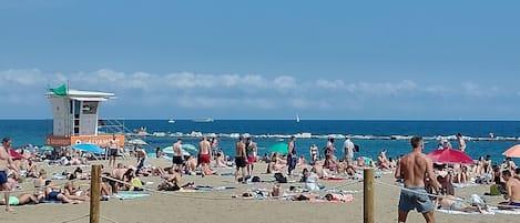 海滩