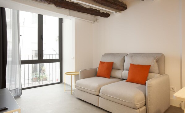 TV - New central loft close to Palau de la Musica (Barcelona)