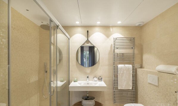 Shower, hair dryer, towels