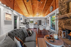 Smart TV, fireplace, books