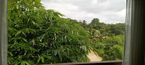 Vue de la chambre