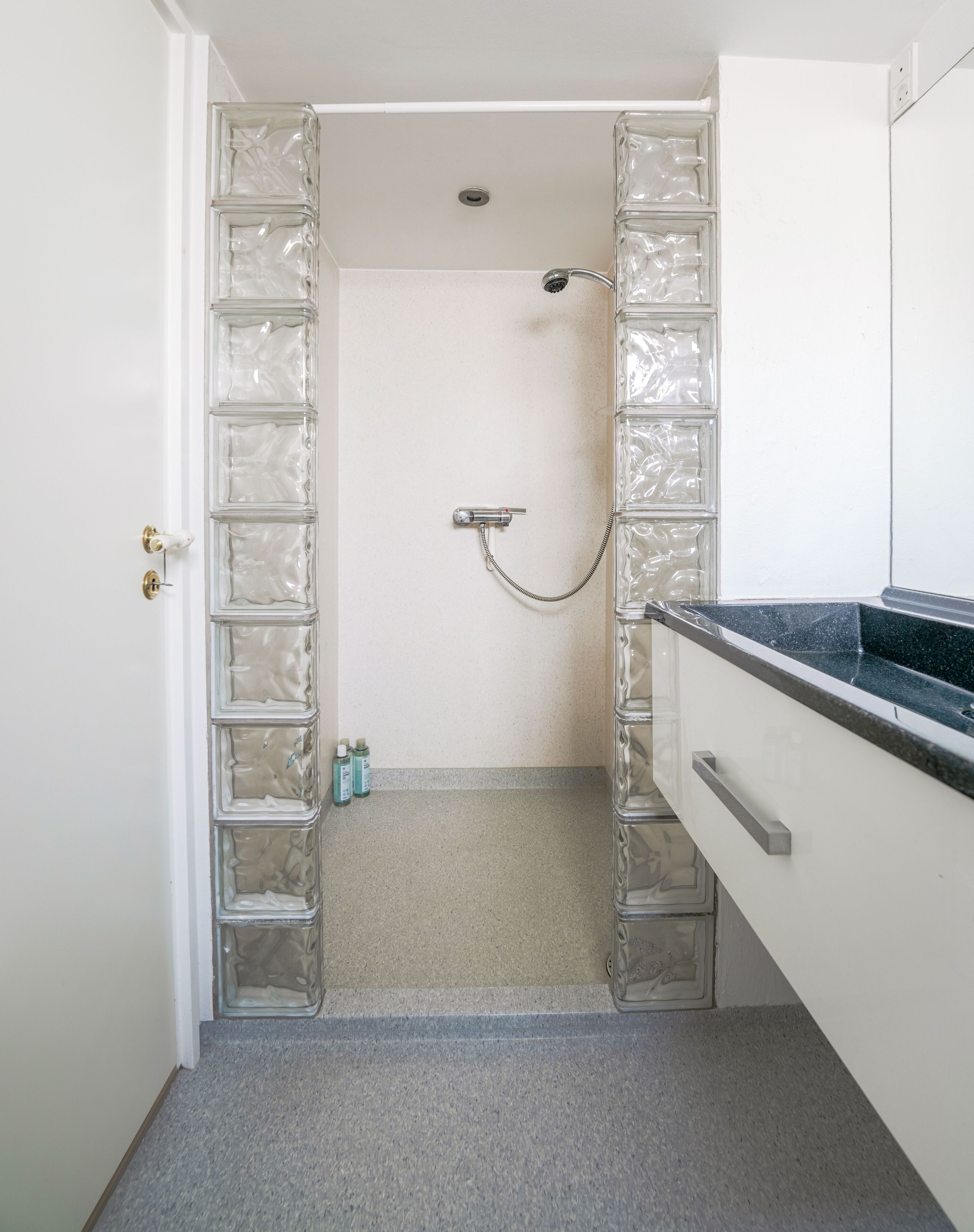 A bathroom with a shower, a glass door, and a countertop.