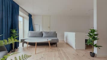 Standard-Studio | Wohnzimmer | 43-Zoll-Fernseher mit Digitalempfang