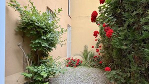A narrow alleyway with a gravel path, surrounded by lush greenery and red flowers.