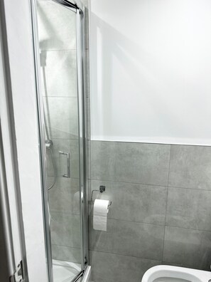 Shower, towels, toilet paper