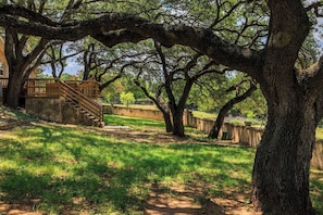 A pathway leading to a wooden staircase surrounded by trees.